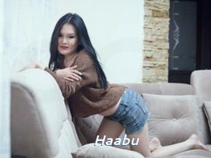 Haabu