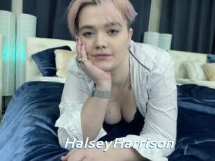 HalseyHarrison Camgirls Live