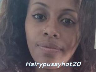 Hairypussyhot20