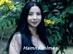 Hamnaholmes