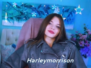 Harleymorrison