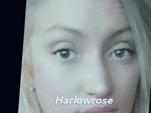 Harlowrose