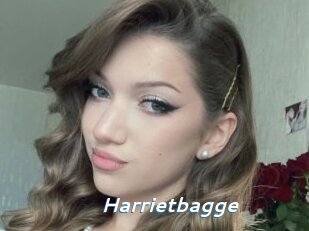 Harrietbagge