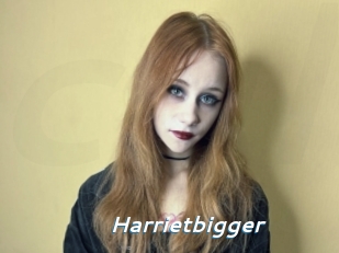 Harrietbigger
