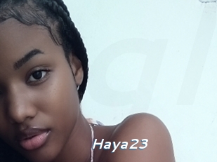 Haya23