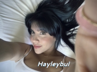 Hayleybui