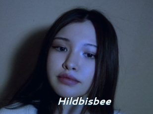 Hildbisbee