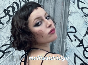 Hollisaldridge