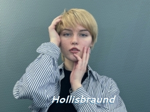 Hollisbraund