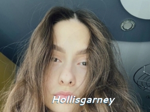 Hollisgarney