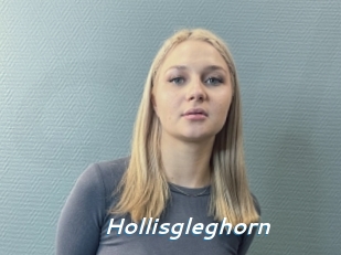 Hollisgleghorn