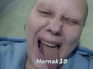 Hornak18