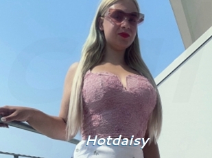 Hotdaisy