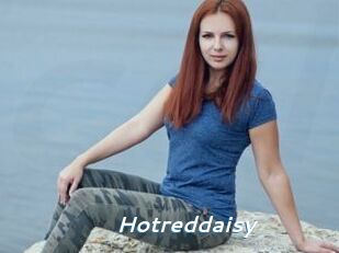 Hotreddaisy