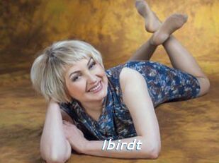 Ibirdt