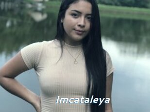 Imcataleya
