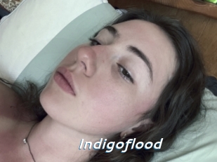 Indigoflood