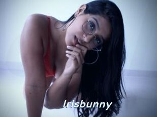 Irisbunny