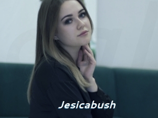 jesicabush Camgirls Live