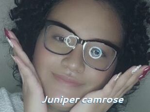 Juniper_camrose