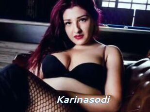 Karinasodi