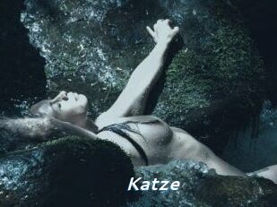 Katze