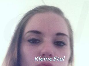 KleineStel