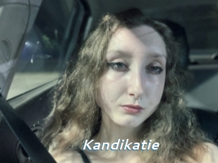Kandikatie