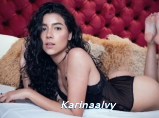 Karinaalvy