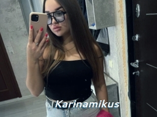 Karinamikus
