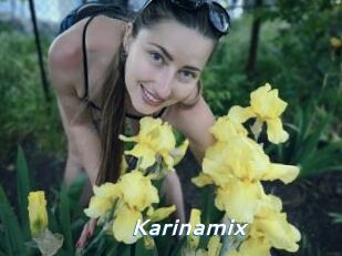 Karinamix