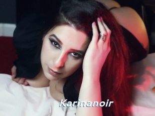 Karinanoir