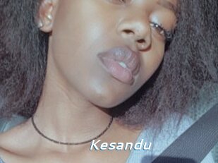 Kesandu