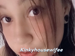 Kinkyhousewifee