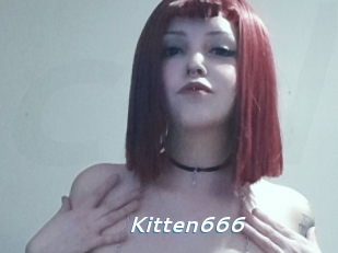 Kitten666