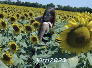 Kitti2023