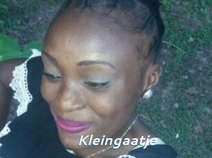 Kleingaatje