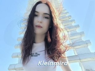 Kleinmird