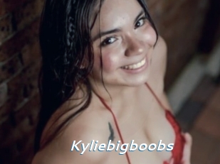 Kyliebigboobs