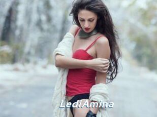 LediAmina