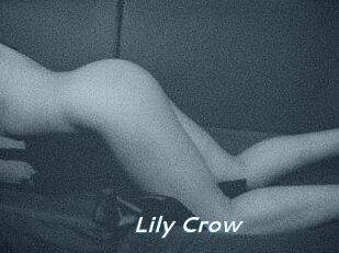 Lily_Crow