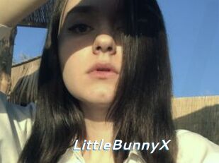 LittleBunnyX
