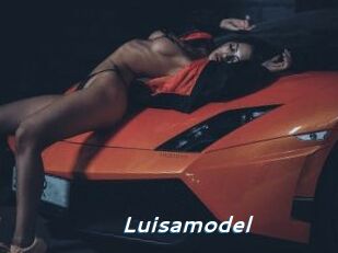Luisamodel