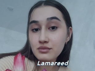 Lamareed