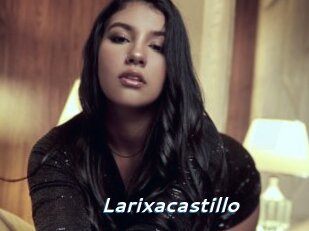 Larixacastillo