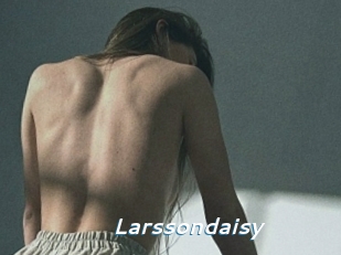 Larssondaisy