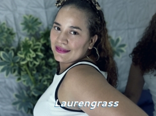 Laurengrass