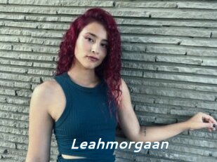 Leahmorgaan