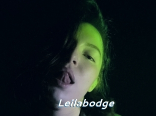 Leilabodge