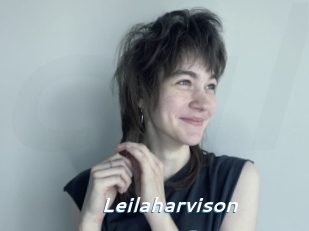 Leilaharvison